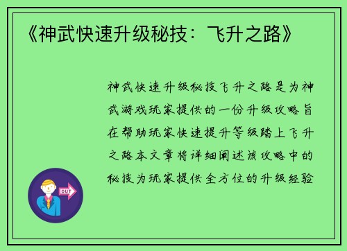 《神武快速升级秘技：飞升之路》